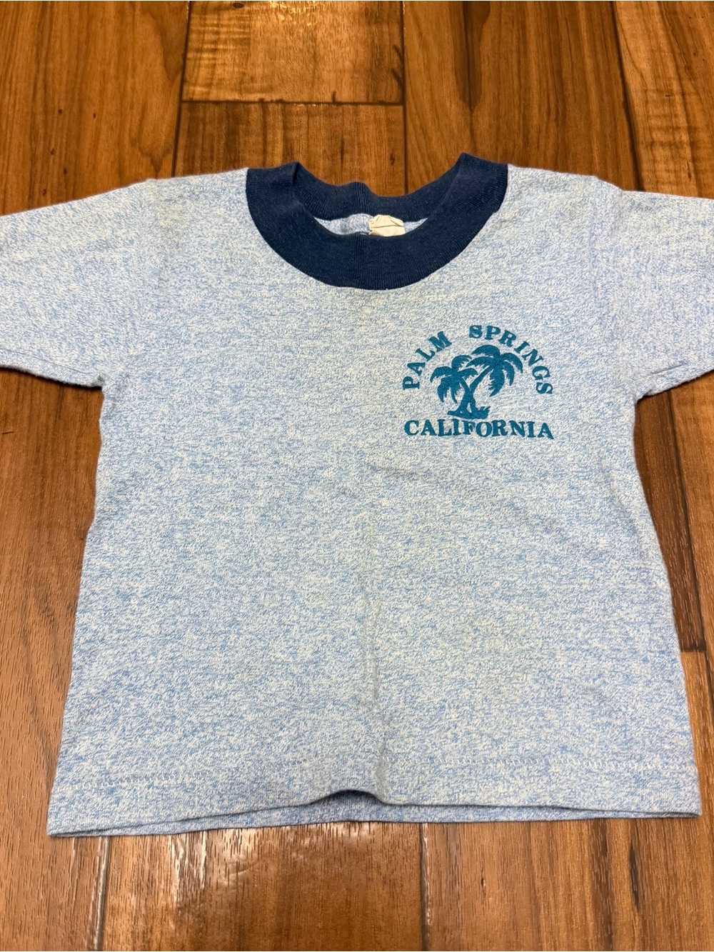 Vintage Tropix Togs Graphic T Shirt Ringer Tee Palm Springs California Kids 2-4